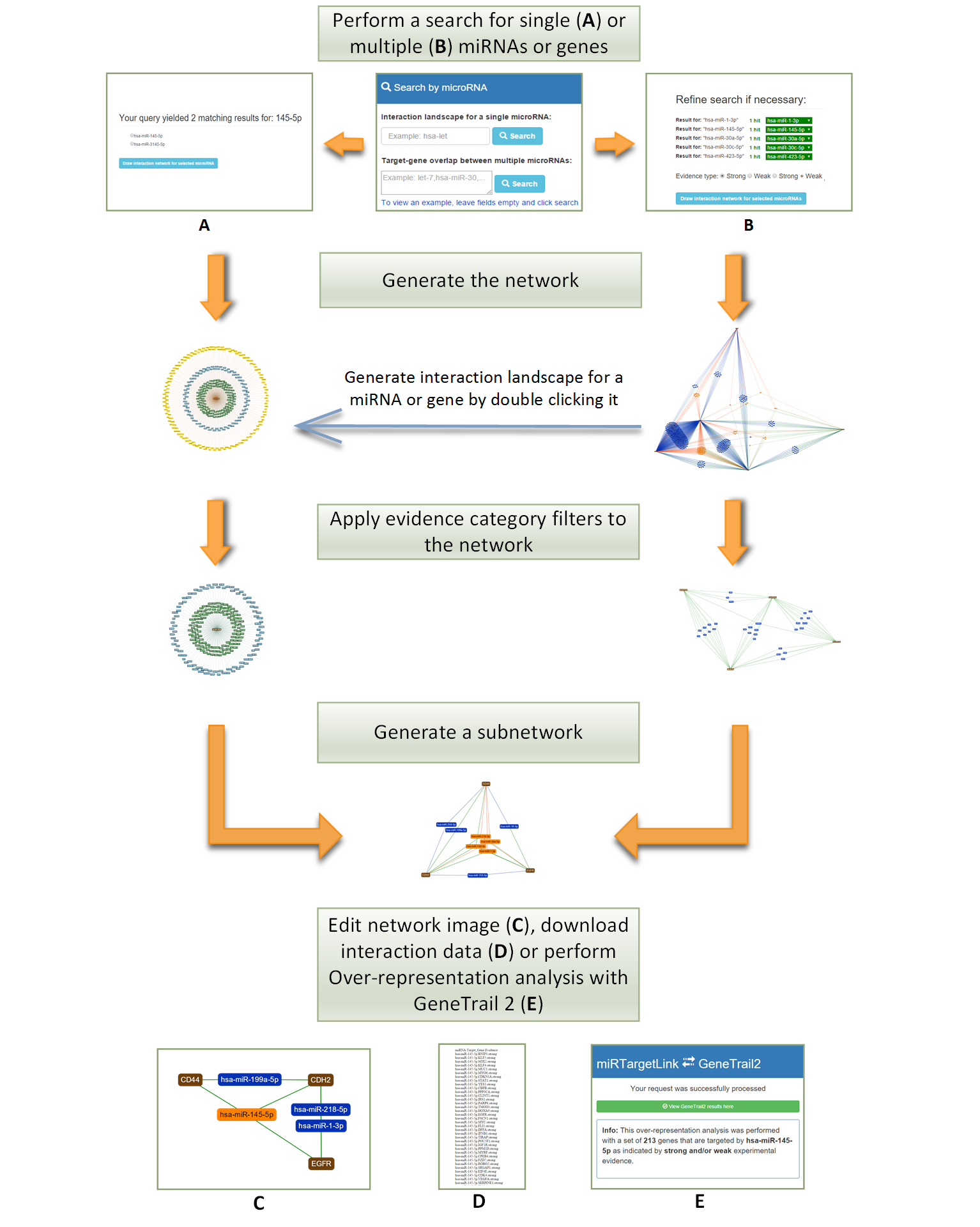 miRTargetLink work flow