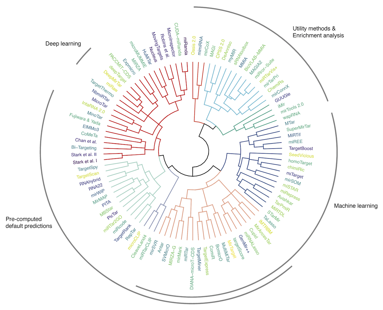 Polar tree dendrogram of the hierarchical clustering of microRNA-target prediction tools.